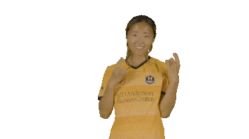 Houston Dash Sport Sticker by National Women's Soccer League