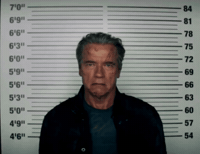 Arnold Schwarzenegger Smirk GIF