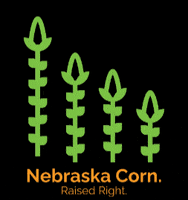 NebraskaCornBoard corn farmer nebraska cornhuskers GIF