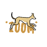 NoodleHorseDoodles dog running fast zoom Sticker