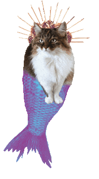 Cat Wiggle Sticker by Nordic.bo