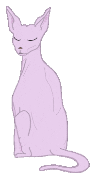art cat cute doodle pink cat Sticker