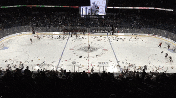 American Hockey League Sport GIF by Ontario Reign