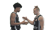 cbbenicarlo dylan cbbenicarló basquet benicarlo ducommun Sticker