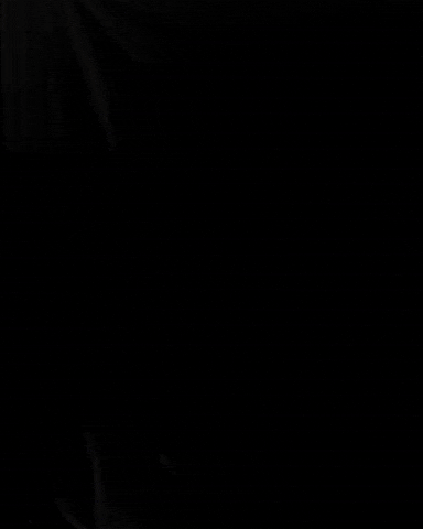 Teamnlshorttrack GIF by Shapevisions