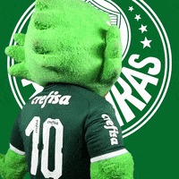 Palmeiras soccer nice futebol legal GIF