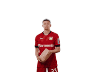 Bayer 04 Popcorn GIF by Bayer 04 Leverkusen