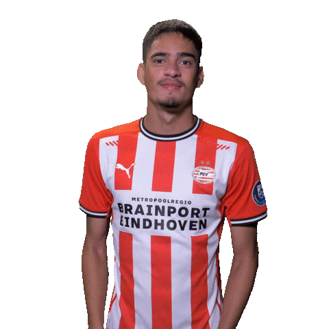 Football Soccer Sticker by PSV