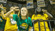 Baylor Bears Sport GIF by Baylor University