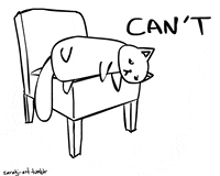 Cat No GIF