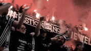 Football Win GIF by SK Sturm Graz