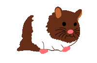 HalliErinB dance sweet hamster bop Sticker