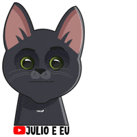 julioeeu cat pet kitten gato GIF