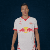 Football Sport GIF by FC Red Bull Salzburg