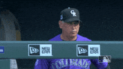 buddy GIF by MLB