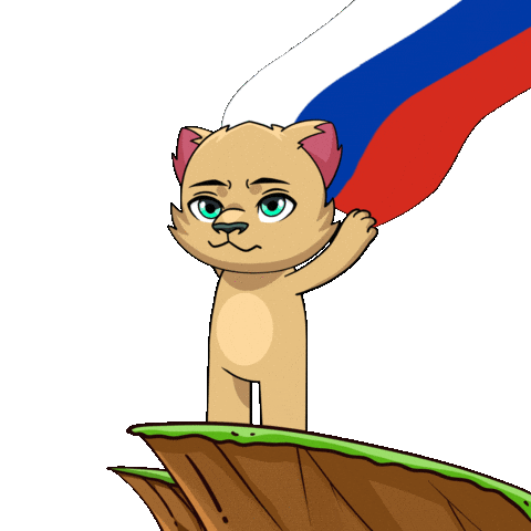 Saint Petersburg Flag Sticker by Kabu