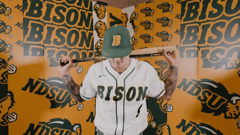 Baseball Bison GIF by NDSU Athletics