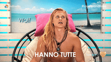 LoveIslandItalia reaction love tv show wolf GIF
