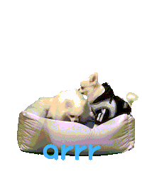 아르르 Sticker by arrr_official