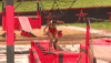 exathlon GIF by Band