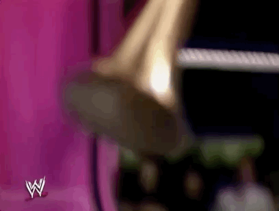 Bret Hart Sport GIF by WWE