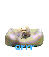아르르 Sticker by arrr_official