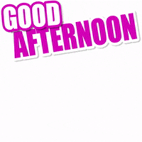 Good Afternoon GIF by Titounis