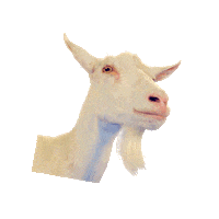 Goat Fries Sticker by Omrop Fryslân