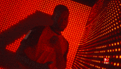 Bayer Leverkusen Football GIF by Bundesliga