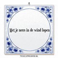 Wind Nl GIF by Tegelspreuken.nl