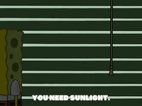 season 8 episode 21 GIF by SpongeBob SquarePants