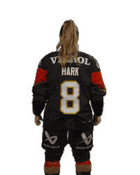 Ice Hockey Sticker by deb_teams