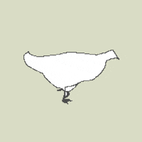 illustration birthday GIF by Percolate Galactic