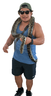 Snake Sticker by seigo hashikawa