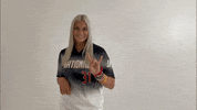 thealliancefastpitch softball fastpitch the alliance fastpitch alliance fastpitch GIF