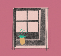 antoniovicentini plant feelings nostalgia window GIF