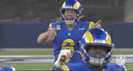 Happy Regular Season GIF by NFL