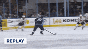 GIF by Milwaukee Admirals