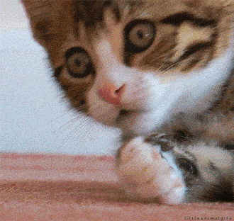 mom friend GIF