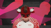 Posing Line Up GIF by Bundesliga