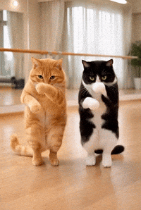 Dancing Cat GIF
