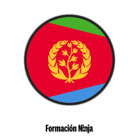 Flag Bandera GIF by Formación Ninja