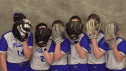 Softball GIF by CUWFalcons