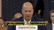Impeachment Hearings GIF