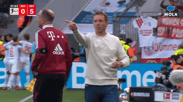 Football Reaction GIF by MolaTV