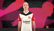 Eintracht Frankfurt Yes GIF by Bundesliga