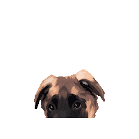 Tigerlilypp Sticker by Pickle's Pawtraits