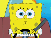 season 8 GIF by SpongeBob SquarePants