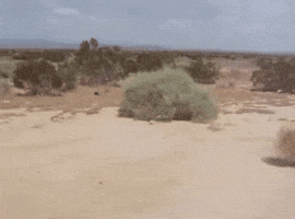 Cri Cri Cri Silence GIF by DJ CHIMO BAYO