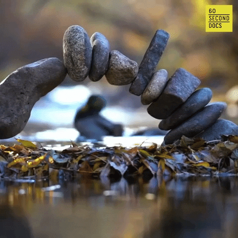 Rock River GIF by 60 Second Docs